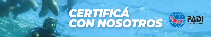 Certificá con Nosotros!